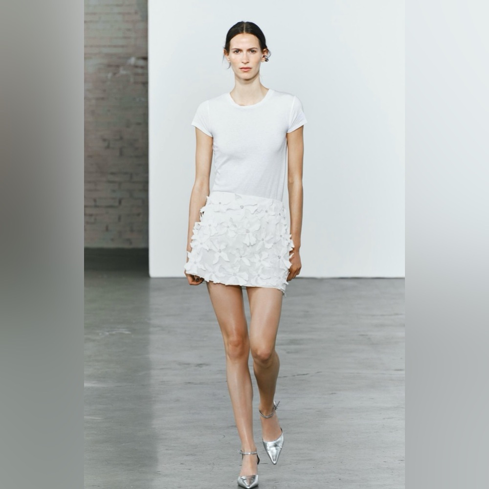 Zara ZW Collection Floral Mini Skirt